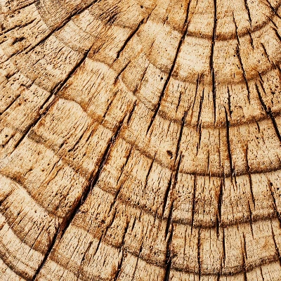 Indoor/Outdoor Faux Concrete Stump Accent Table Brown - Threshold™ Designed With Studio McGee - Image 5