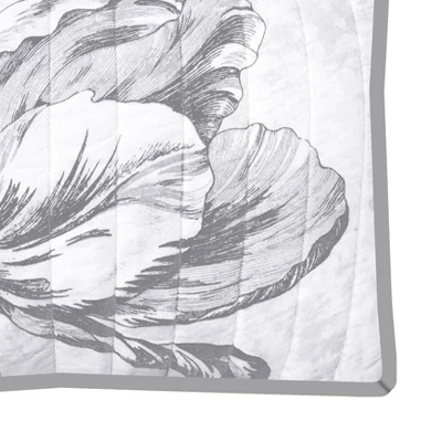 Standard Merian Tulip Sham Gray/White - New York Botanical Garden - Image 2