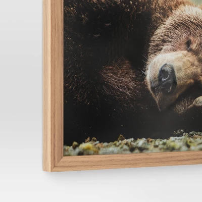 20" X 16" Bear Photography Framed Art Brown - Threshold™ - Image 3