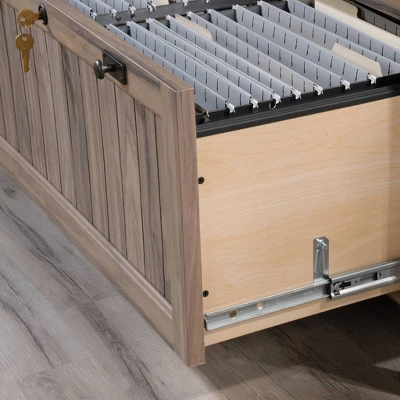 2 Drawer Costa Lateral File Cabinet Walnut - Sauder - Image 5