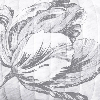 Standard Merian Tulip Sham Gray/White - New York Botanical Garden - Image 4