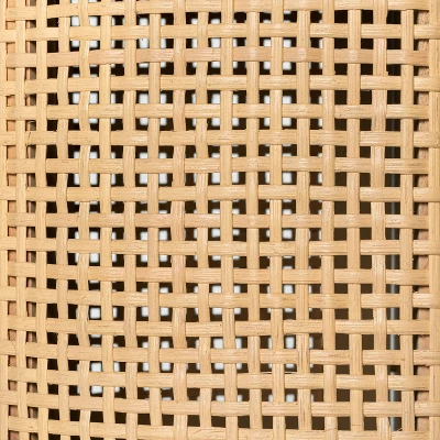 Portola Hills Caned Door TV Stand For TVs Up To 60" - Threshold™ Designed With Studio McGee - Image 5