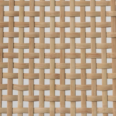 Tormod Backed Cane Dining Chair - Threshold™ - Image 5